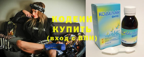 дмт Бородино