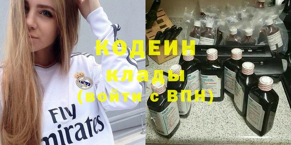 дмт Бородино