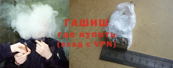 дмт Бородино