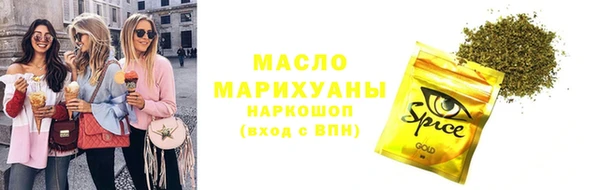 дмт Бородино