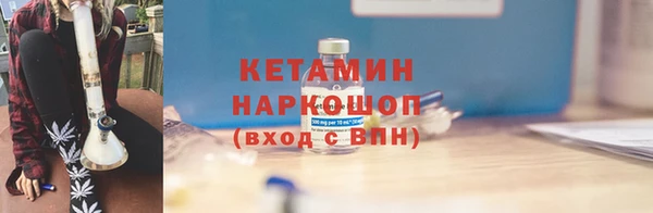 дмт Бородино