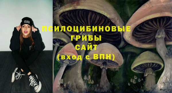 марки nbome Сосновка