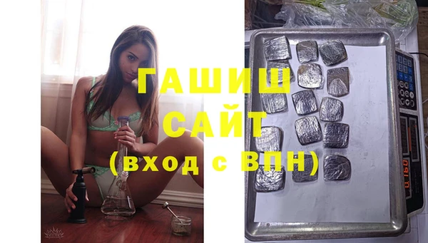 дмт Бородино