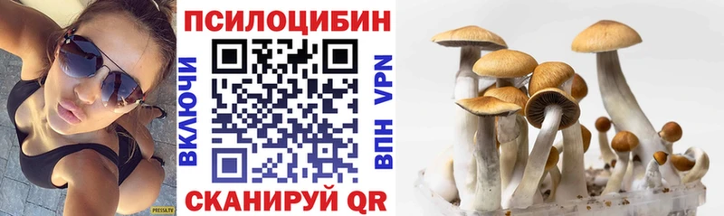 OMG ссылка  Торжок  Псилоцибиновые грибы GOLDEN TEACHER 