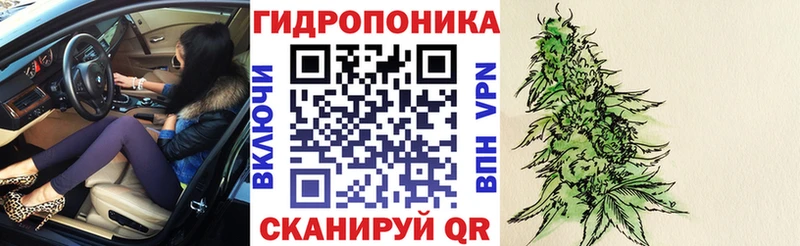 как найти   Торжок  МАРИХУАНА марихуана 